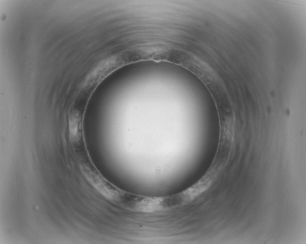 X0000082150138200701191218