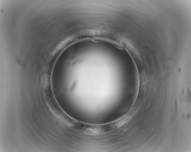 X0000082150164200701191218
