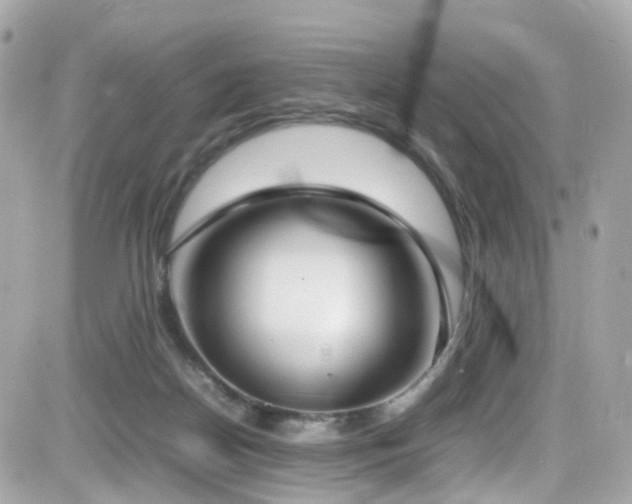 X0000082150170200701191218