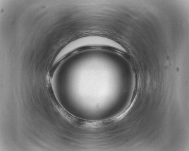 X0000082150190200701191218