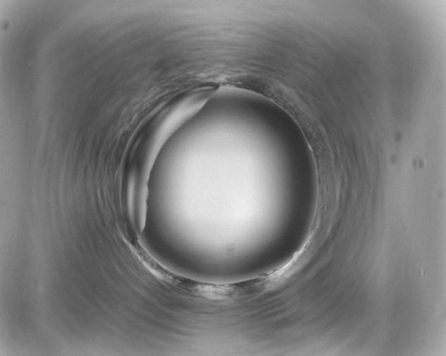 X0000082150192200701191218