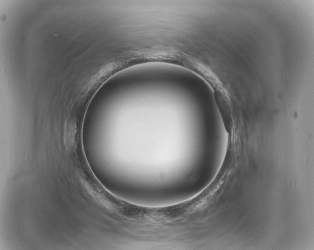 X0000082150201200701191217
