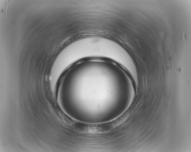 X0000082150264200701191216