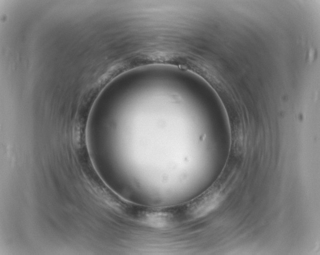 X0000082150268200701191216