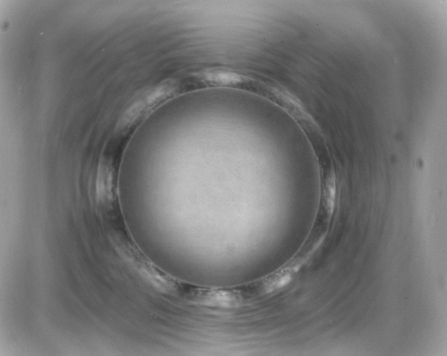 X0000082150330200701191215