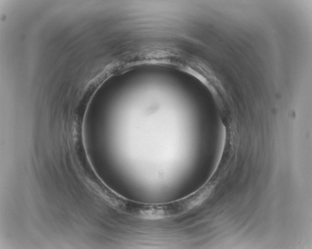 X0000082150362200701191215