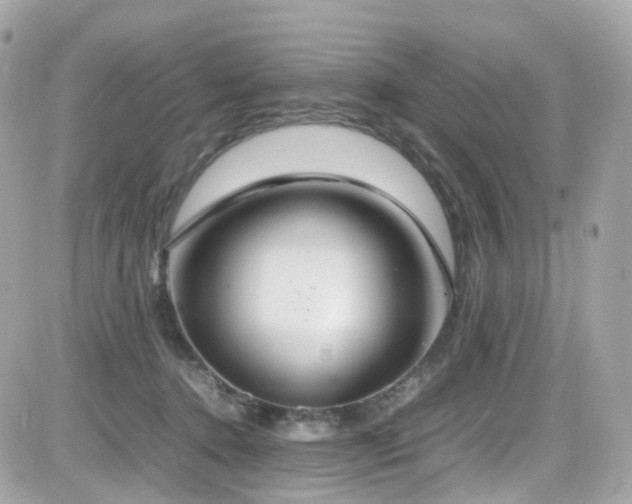 X0000082150368200701191215