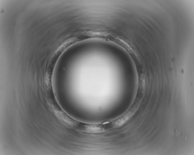 X0000082150380200701191215