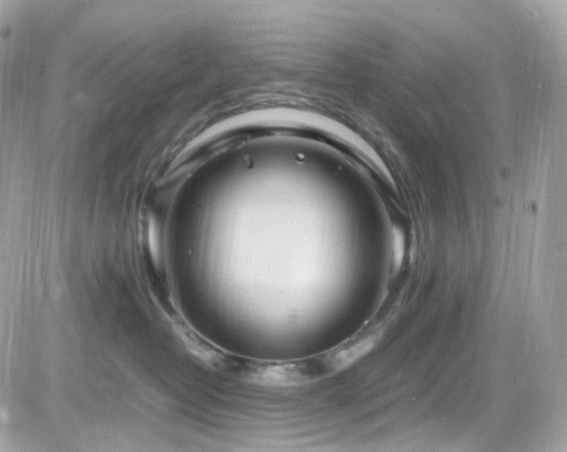 X0000082150382200701191215