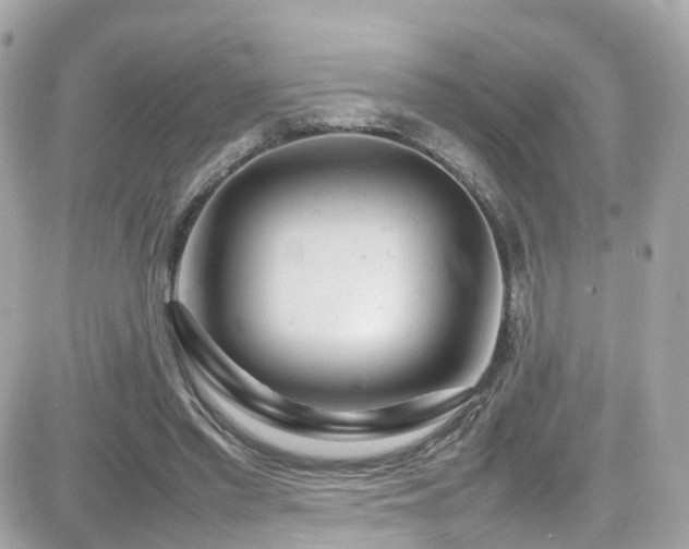X0000082150397200701191214