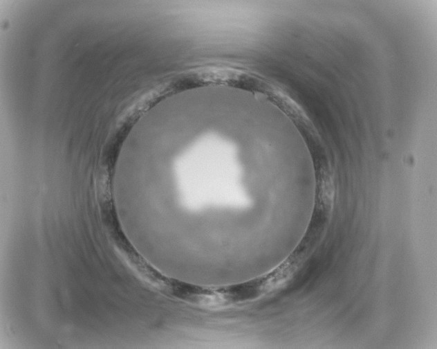 X0000082150411200701191214