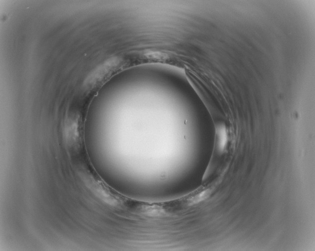 X0000082150424200701191214