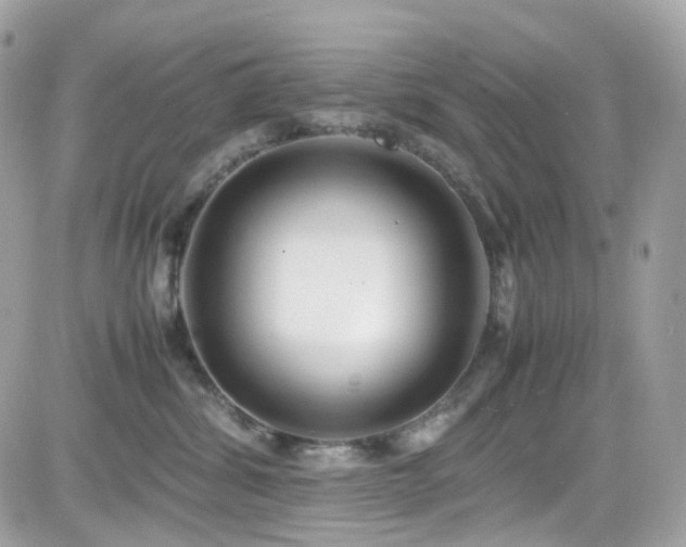 X0000082150428200701191214