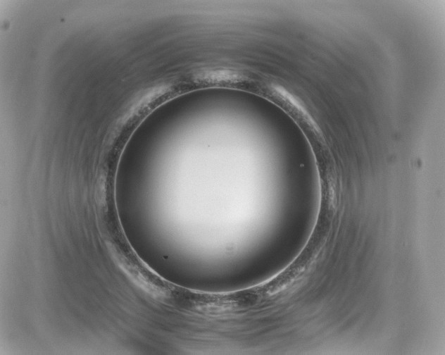 X0000082150447200701191213