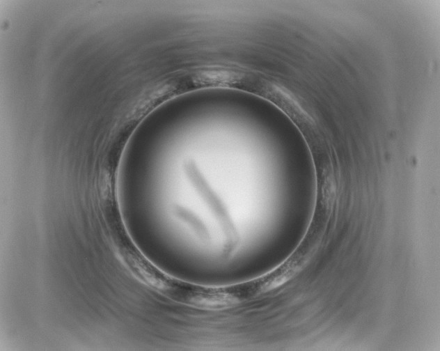 X0000082150459200701191213
