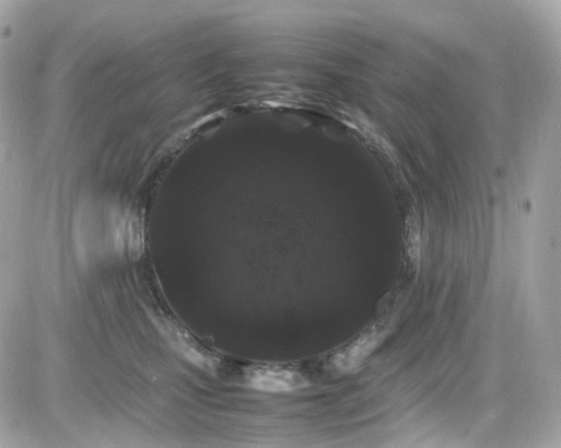 X0000082150471200701191213