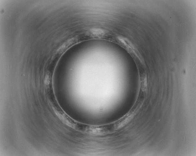X0000082150472200701191213
