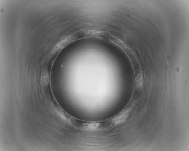 X0000082150474200701191213