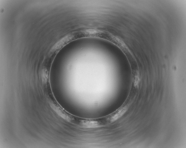 X0000082150476200701191213