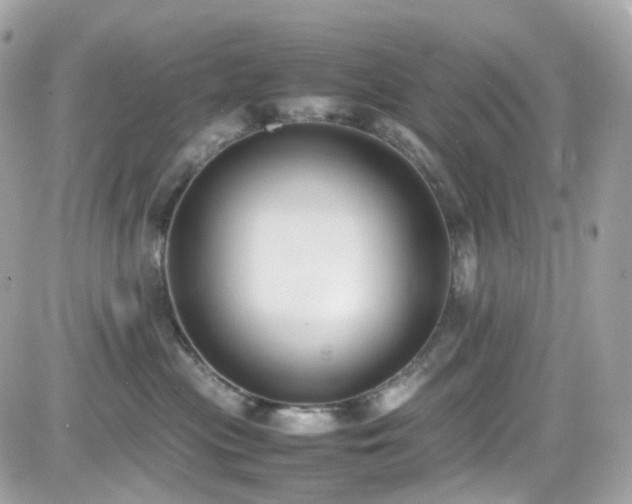 X0000082150477200701191213