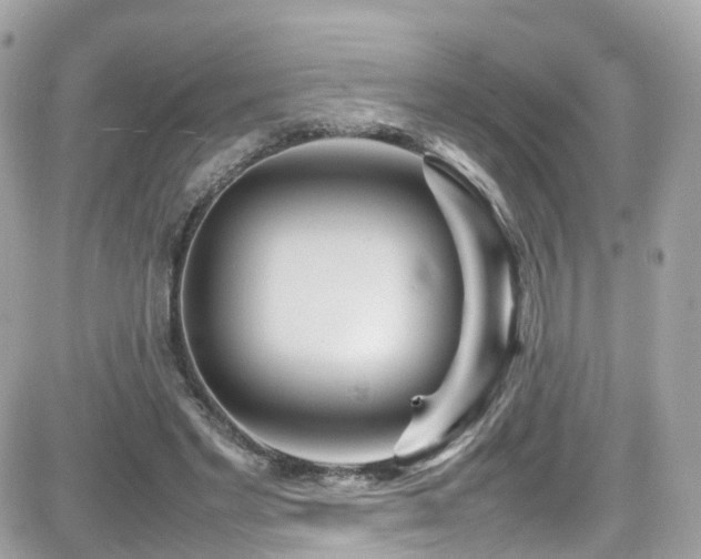 X0000082150493200701191212