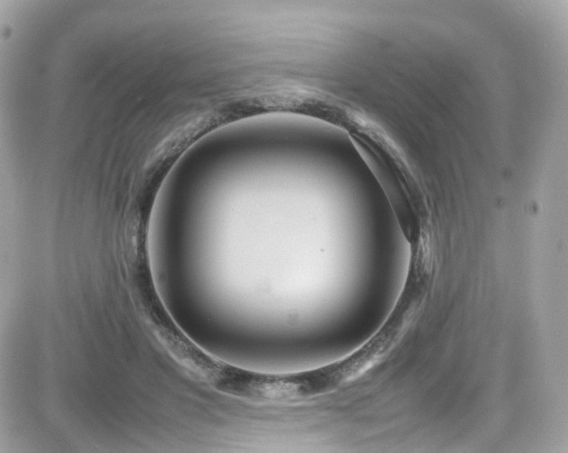 X0000082150501200701191212