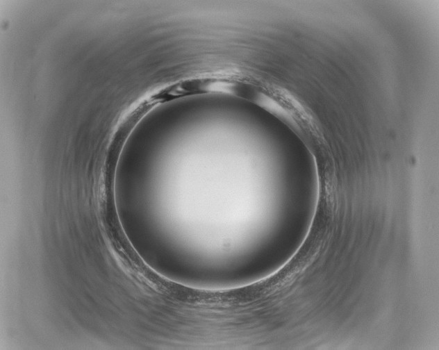 X0000082150532200701191211