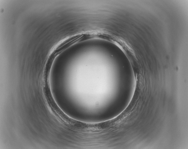 X0000082150536200701191211