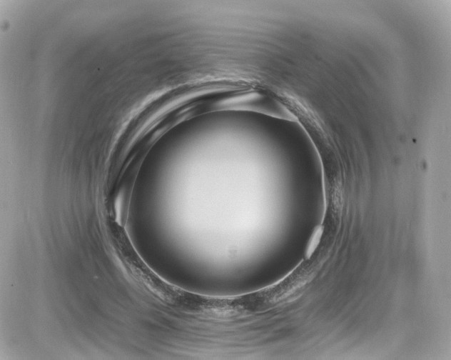 X0000082150540200701191211