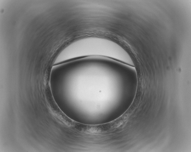 X0000082150546200701191211
