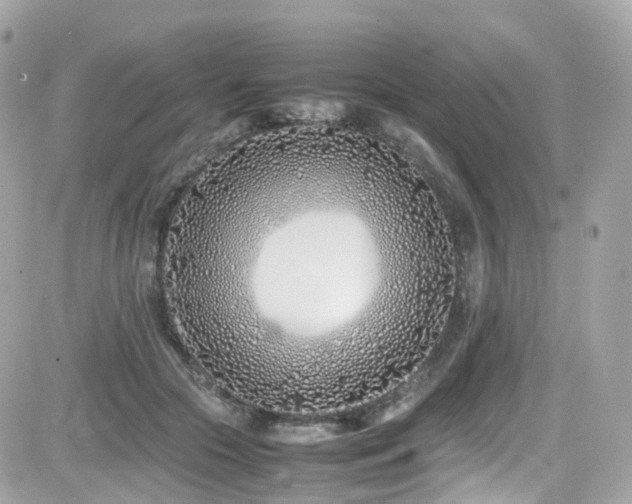 X0000082150553200701191211