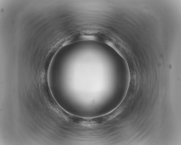 X0000082150556200701191211
