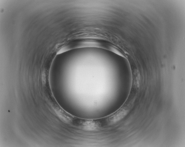 X0000082150562200701191212