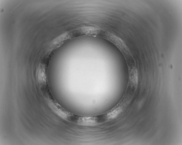 X0000082150622200701191210