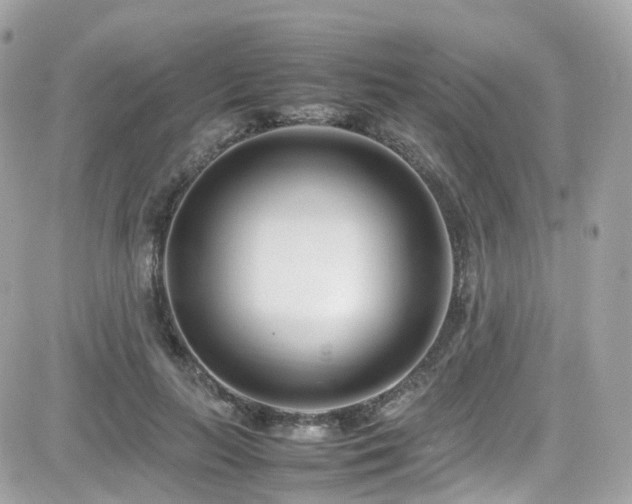 X0000082150647200701191210