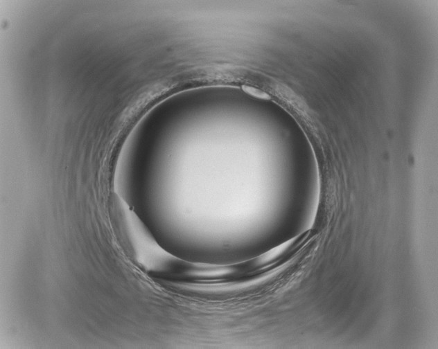 X0000082150673200701191209