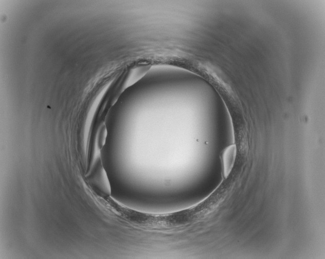 X0000082150685200701191209