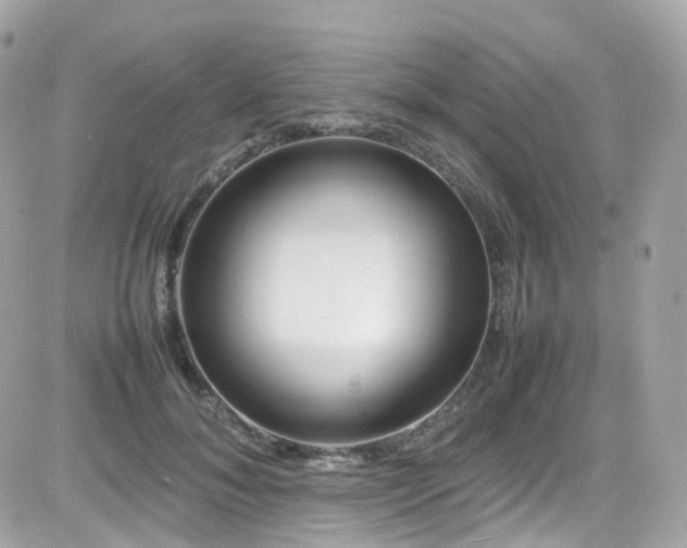 X0000082150700200701191209