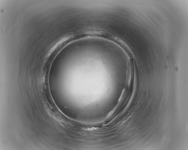 X0000082150723200701191208