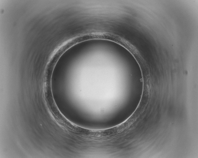 X0000082150728200701191208