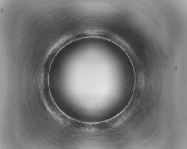 X0000082150730200701191208