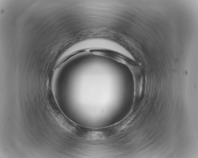 X0000082150748200701191208