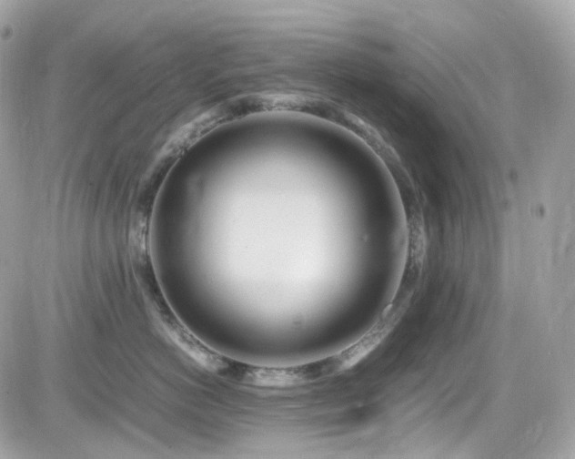 X0000082150766200701191209