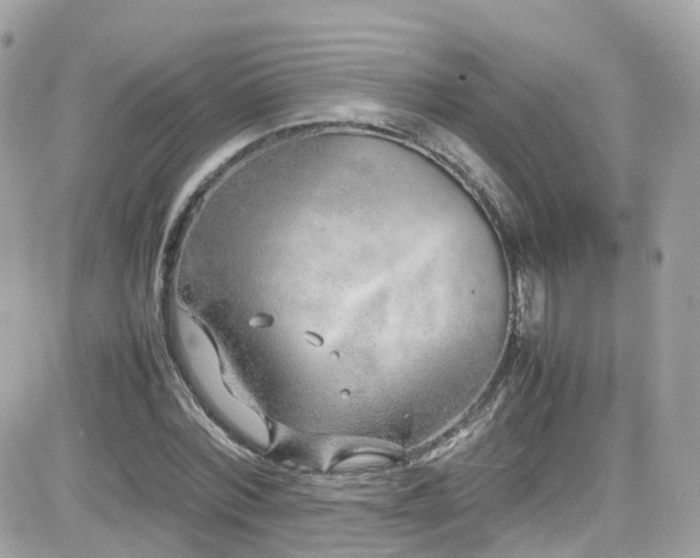 X0000082150780200701191208