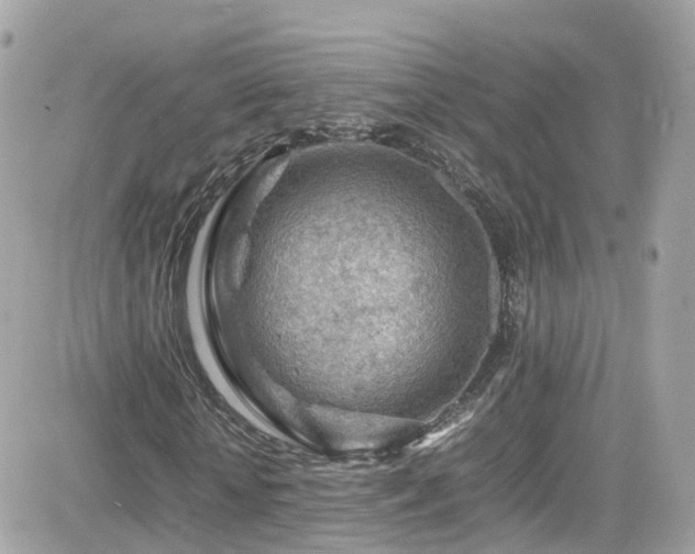 X0000082150818200701191206