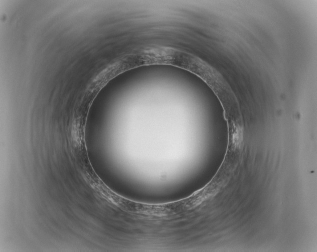 X0000082150819200701191206
