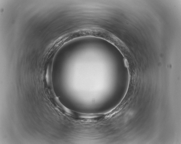 X0000082150822200701191206