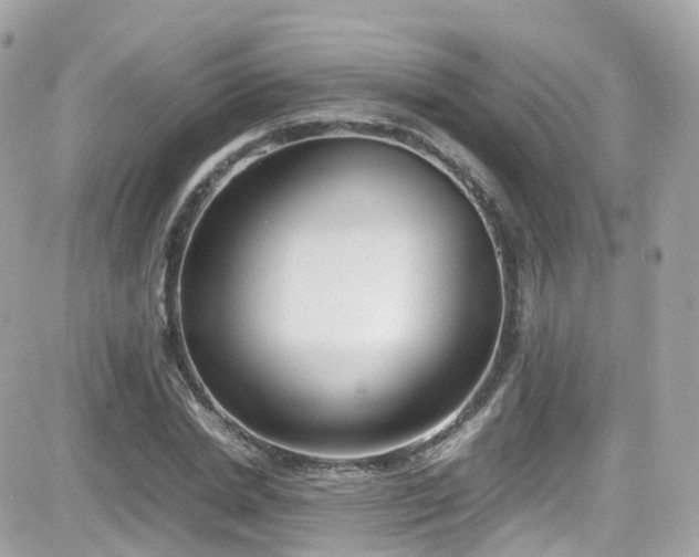X0000082150830200701191207
