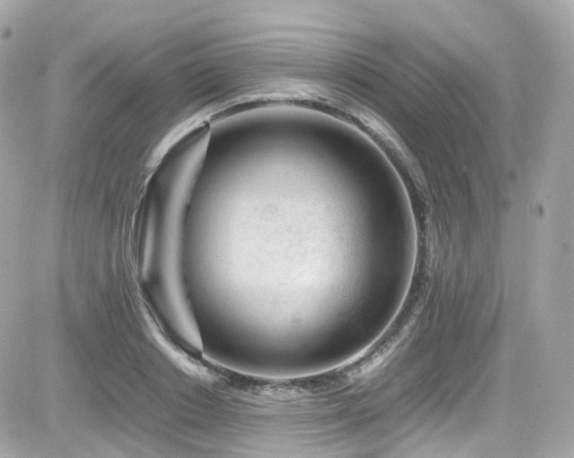 X0000082150842200701191207