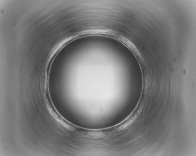 X0000082150844200701191207
